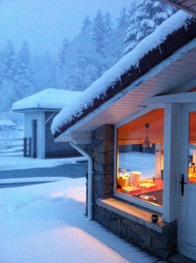 Le Chalet Blanc - Jacuzzi / Piscine / Sauna 热拉梅 外观 照片